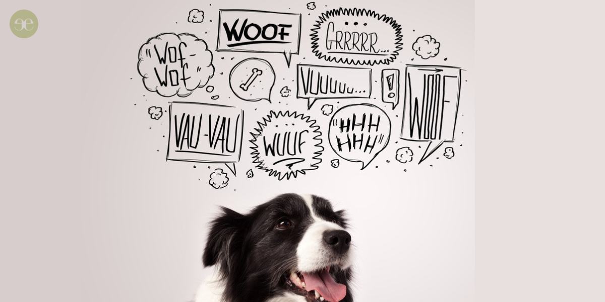 Pet sounds: Do animals speak different languages? Pet sounds: Do animals speak different languages?
